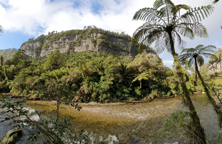 Pororari River, Paparoa Track