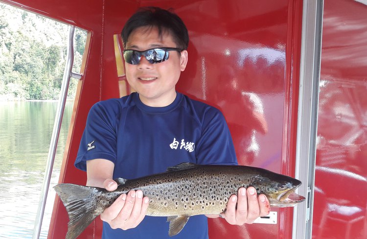 Fishing Lake Mapourika
