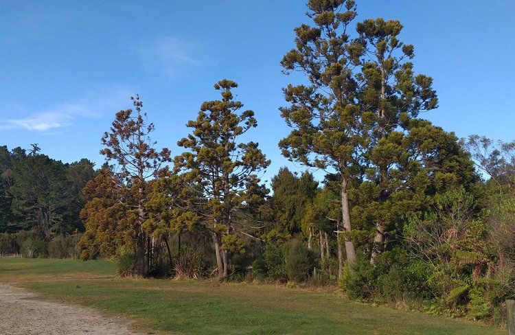 Beautiful views and lots of space at the camp
