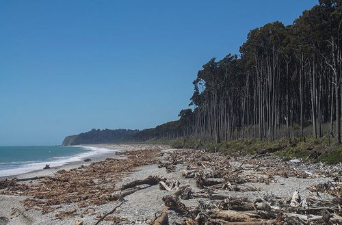 Bruce-Bay-New-Zealand.JPG