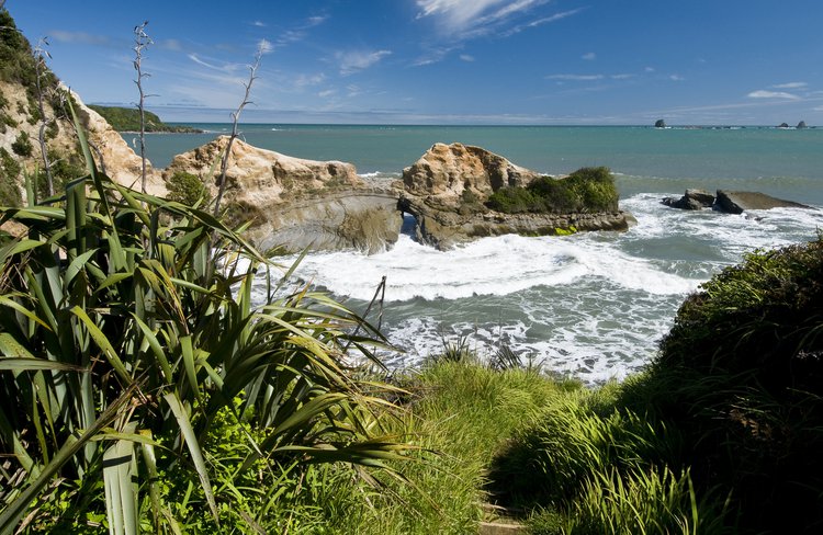 Cape Foulwind 4.jpg