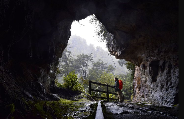 Charming creek walkway backpackers new zealand