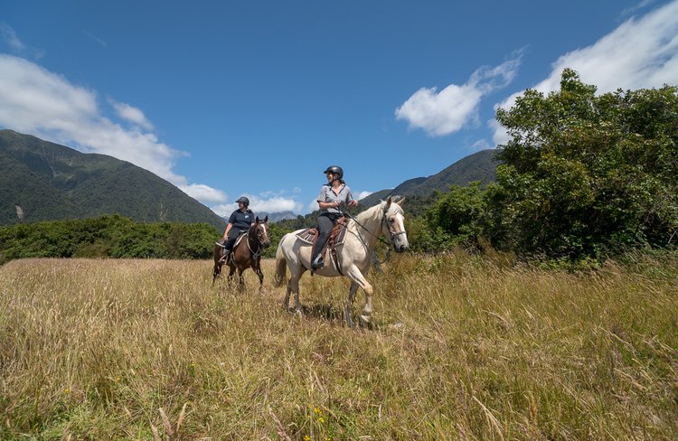 Experience Fox Glacier Horse Riding (29).jpg