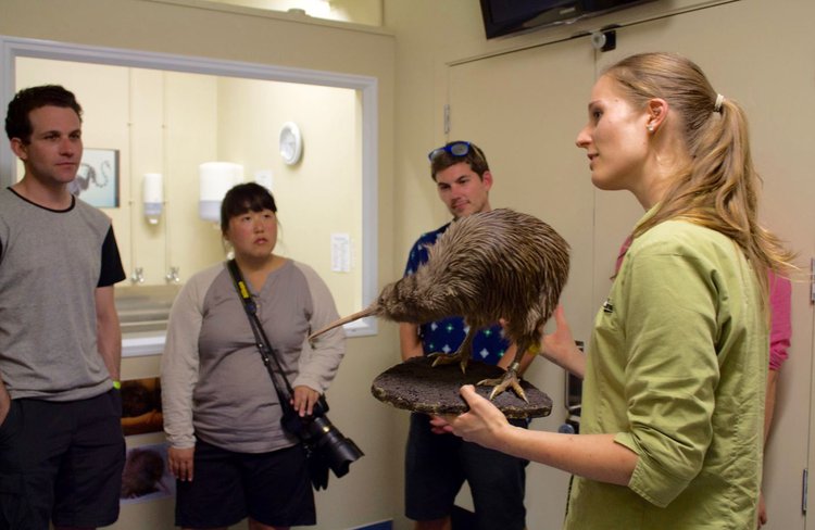 Franz Josef Wildlife Centre tour