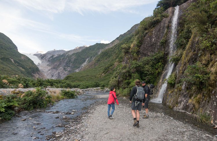 Glacier Valley Eco Tours Walk
