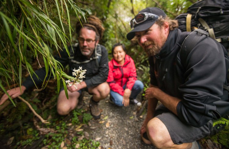 Glacier Valley Eco Tours