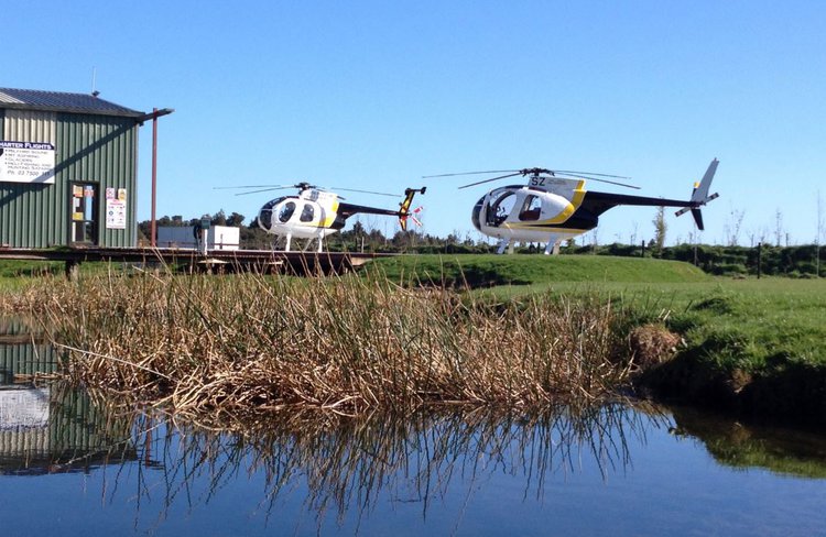 Haast heli