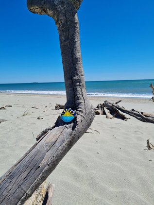 Haast beach1.jpg