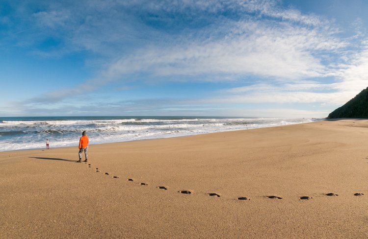 Heaphy_and_ Scotts_beach (16 of 96).jpg