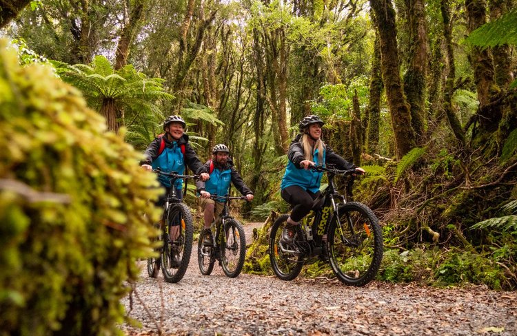 Fox Glacier E-Bike and Guided Walk