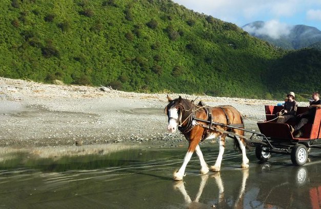 Horse wagon tours1.jpg
