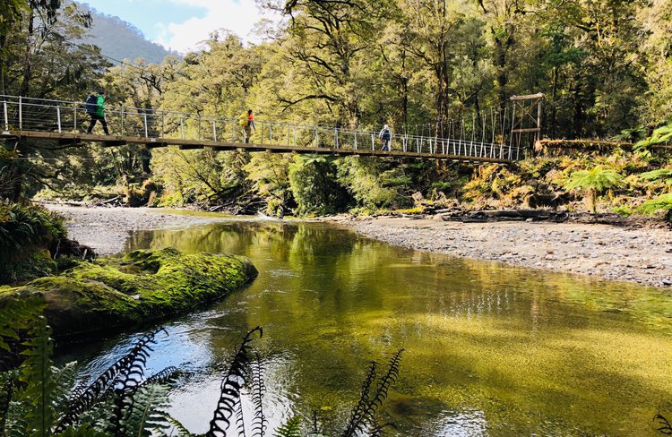 The Paparoa Track