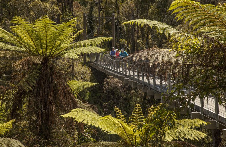 West Coast Wilderness Trail.