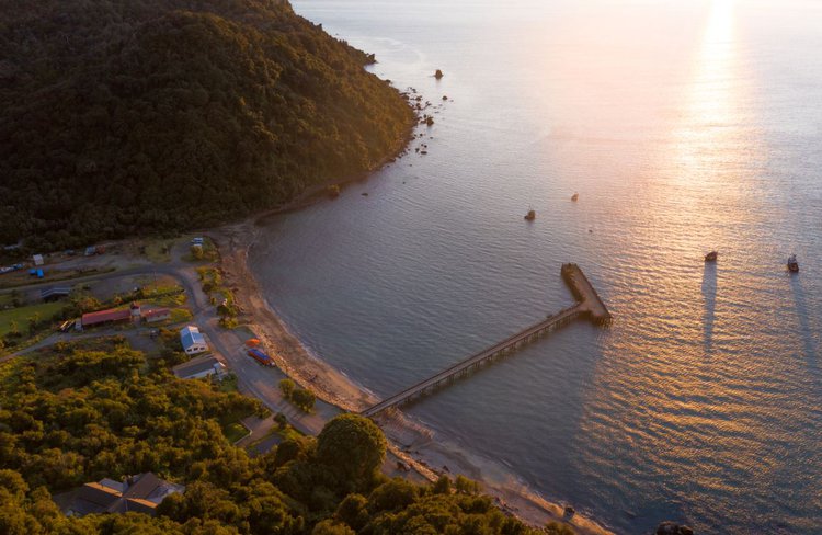 Jackson bay 3.JPG