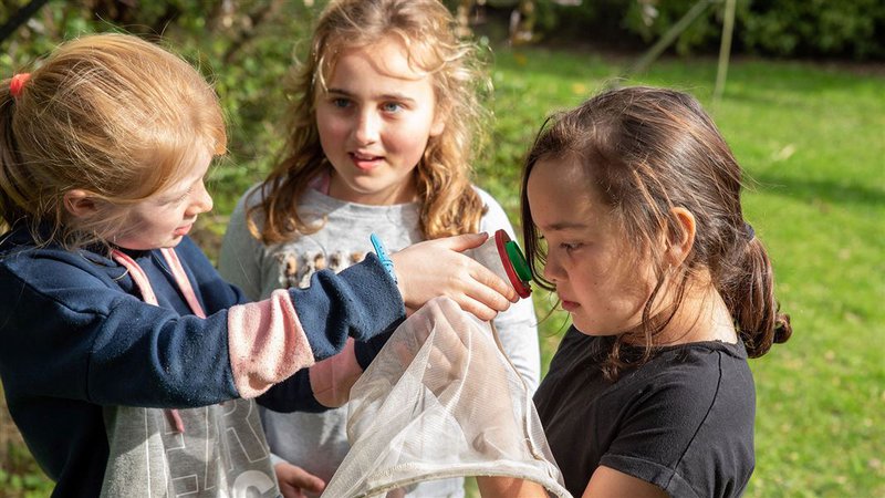 Jobs for nature - mini-environmental-adventurers-programme-1920.jpg