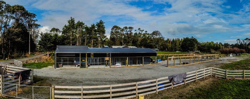 New River Kennels.JPG