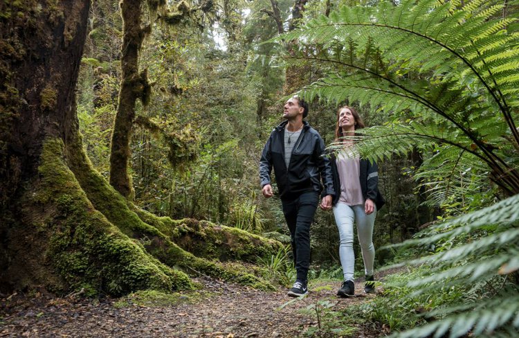 Oparara Arches walkway