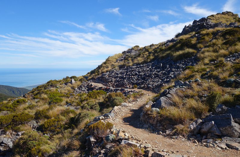 Paparoa Shuttle