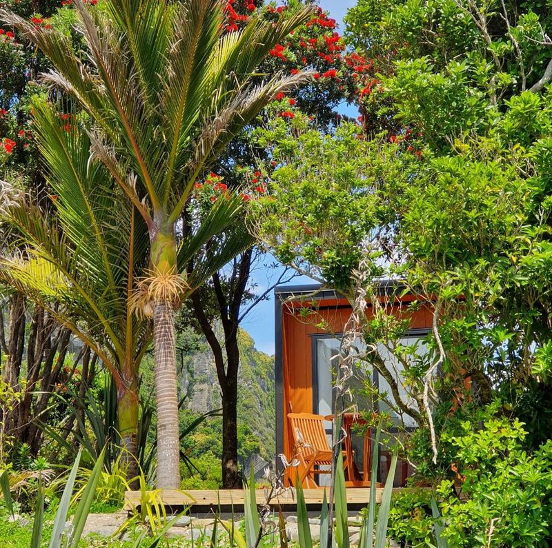 Punakaiki Beach camp 2.JPG