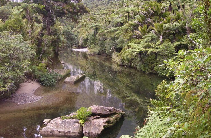 Punakaiki Canoes 3.jpg