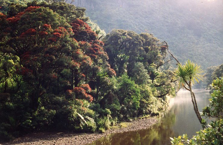 Punakaiki Canoes 4.jpg