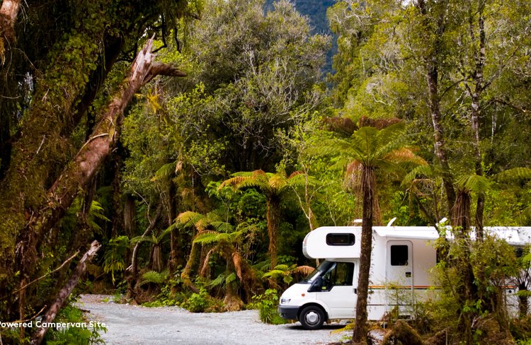 Rainforest_Images_12.jpg