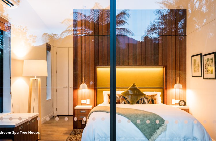 Rainforest_Images 2019