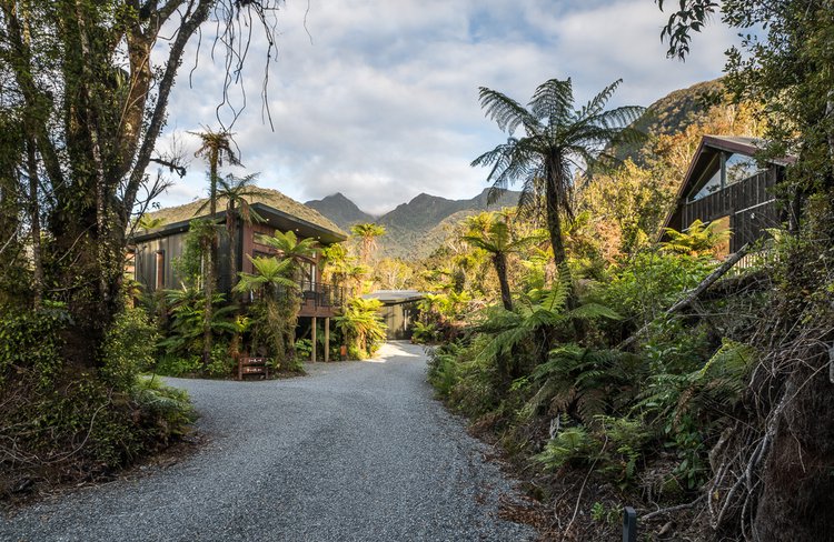 Rainforest Retreat (7).jpg