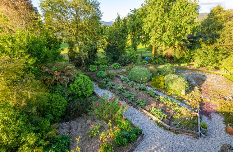 Our garden at Ribbonwood Retreat is lovingly cared for by Jonathan, attracting prolific birdlife in spring