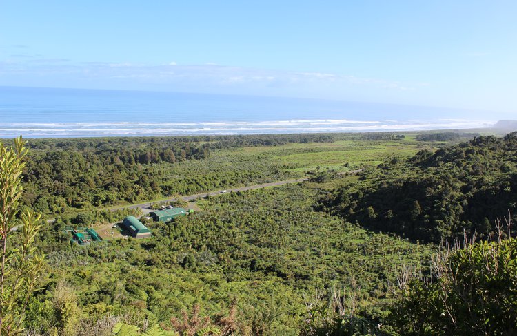 Punakaiki Coastal Restoration Project
