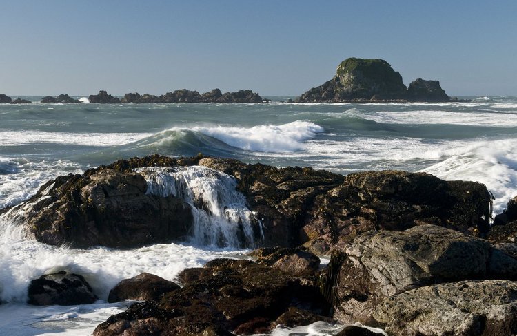 tauranga bay