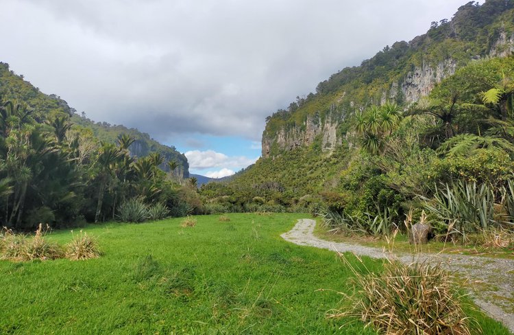 Te Rua 6.jpg