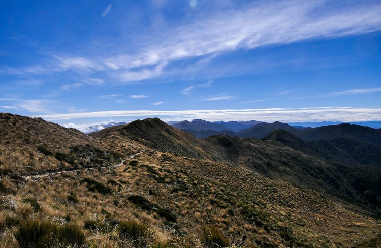 Paparoa Track Services 2019