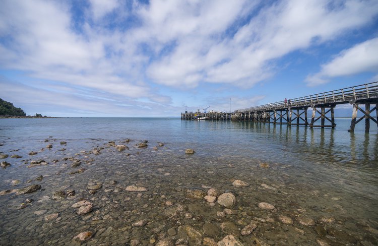 Jackson's Bay, Haast -3