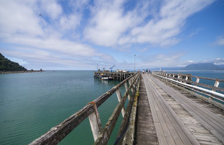 Jackson's Bay, Haast -1477