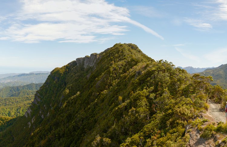 Paparoa Escarpment