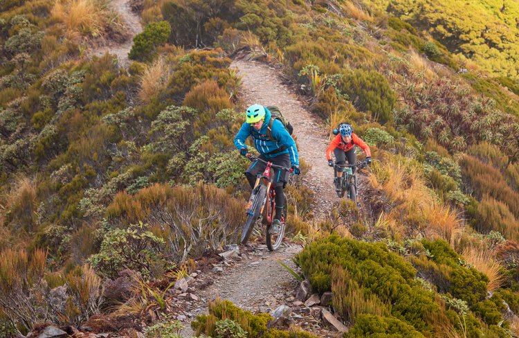 Paparoa Track Transport