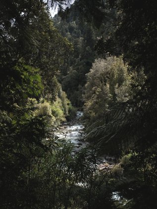 Blackball Creek