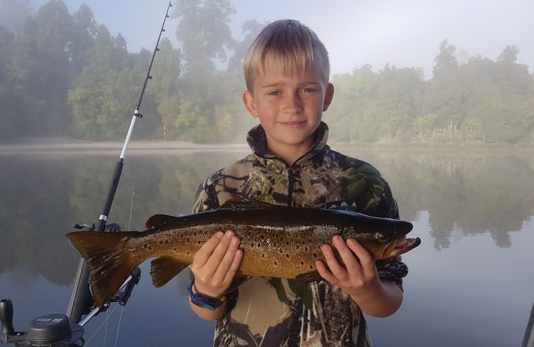 Brown trout