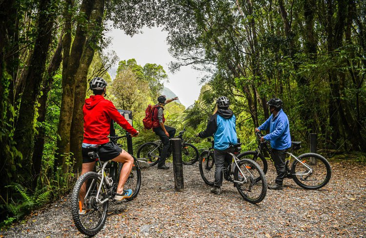 Along the way, your guide will share with you the local natural history and fascinating stories of explorers past.