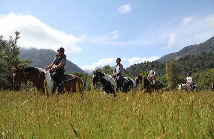 Horse trek through native bush