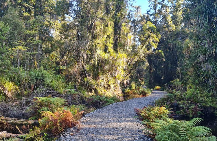 haast walk.jpg