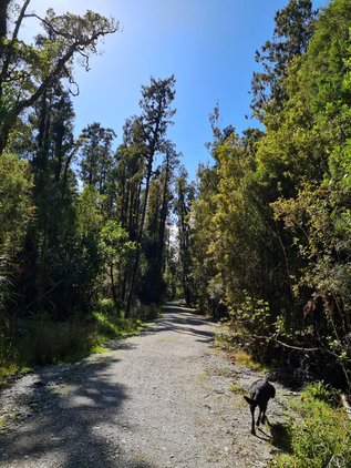 haast walk2.jpg