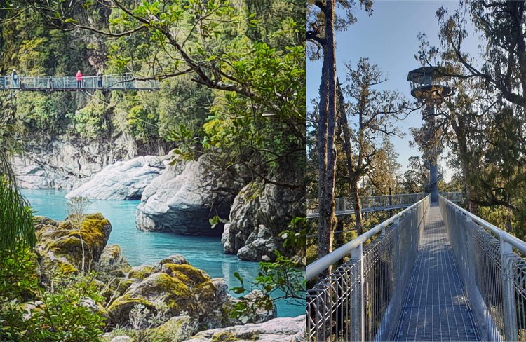 Hokitika Gorge & West Coast Treetop Walkway Tour