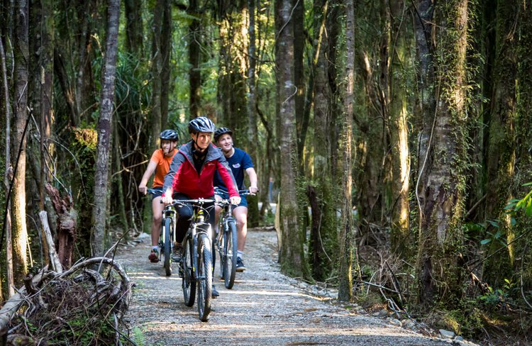 Cycle a spectacular section of the West Coast Wilderness Trail