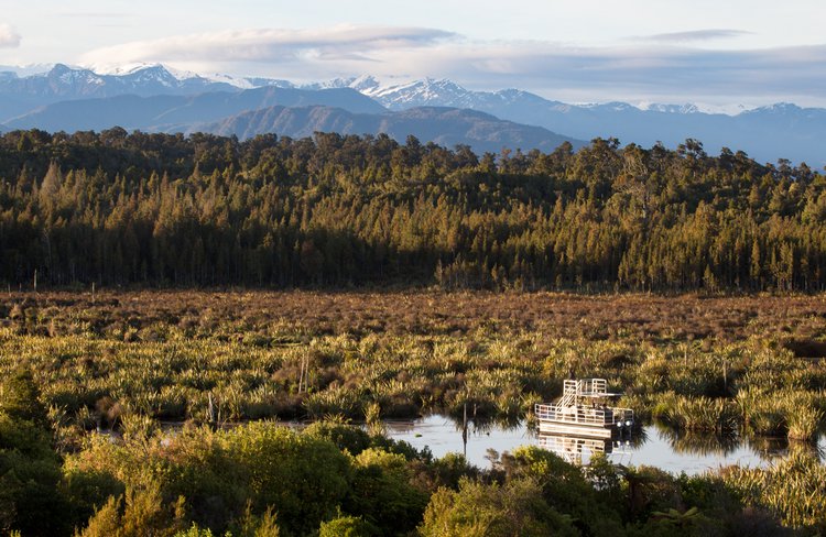 The untamed natural wilderness of the West Coast