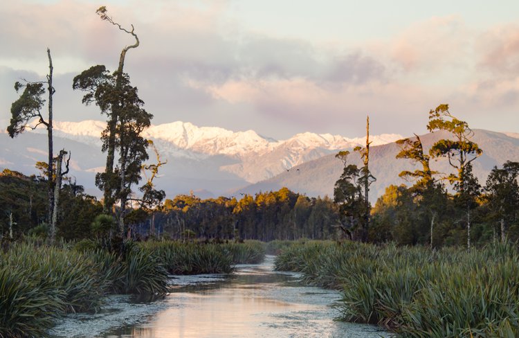 Enter Mahinapua's whitebait sanctuary and scenic reserve