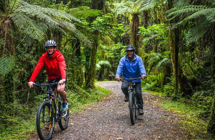 Ride through ancient podocarp rainforest on E-bikes.