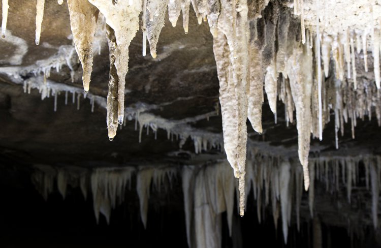 Amazing stalactite formations on the roof of the Metro Cave near Charleston on the West Coast