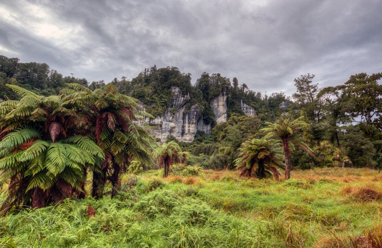 Views of the stunning Nile River limestone bluffs from the Rainforest Train, Charleston, West Coast